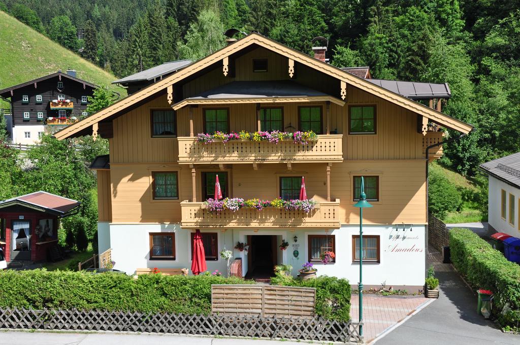 Haus Amadeus Hotel Wagrain Exterior photo